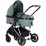 carucior 2 in 1 pentru copii