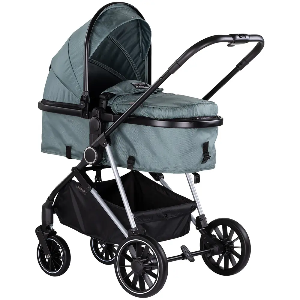 carucior 2 in 1 pentru copii
