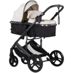 Carucior 2 in 1 pentru copii